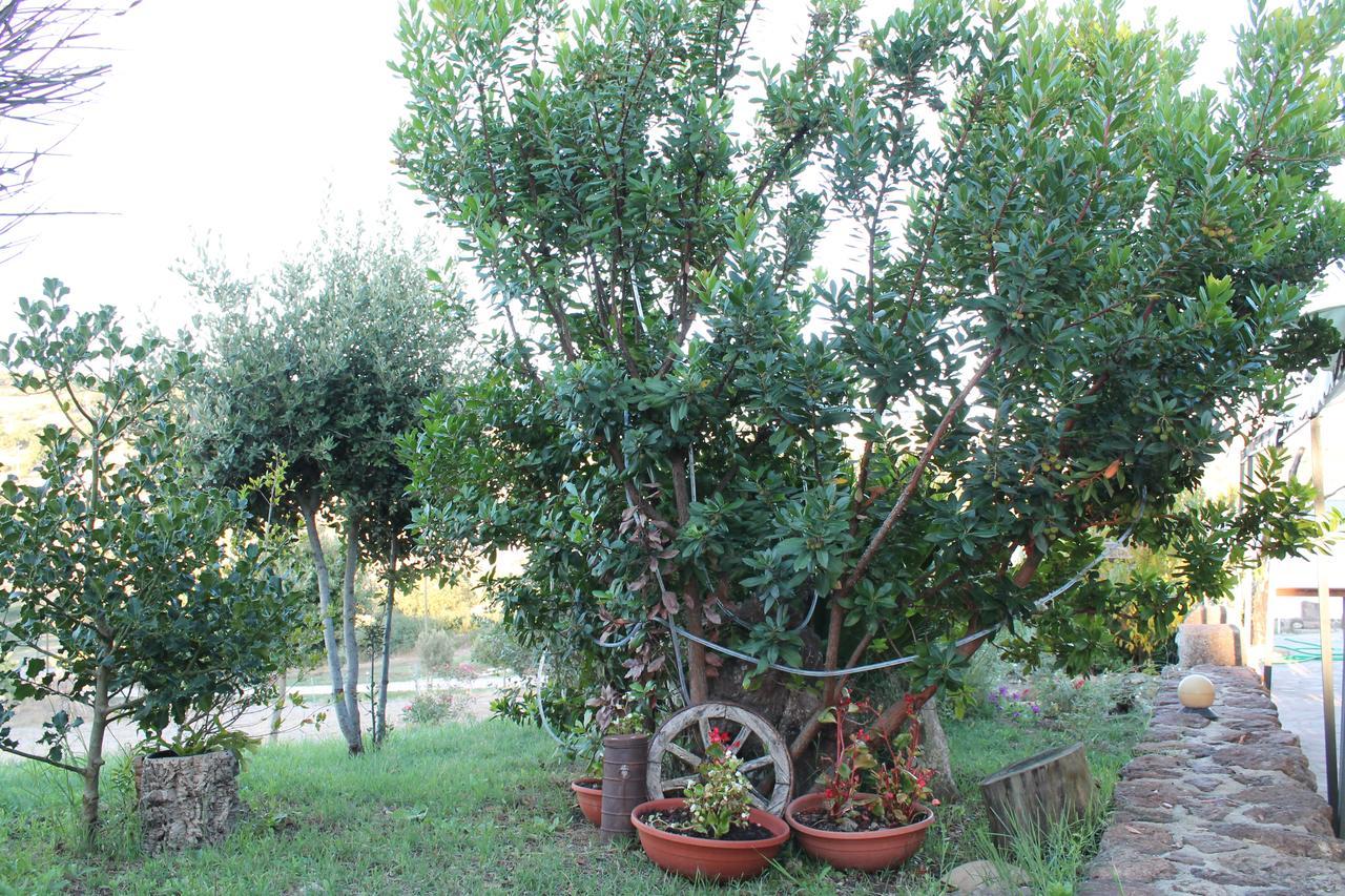 Agriturismo Su Recreu Ittiri Exterior photo